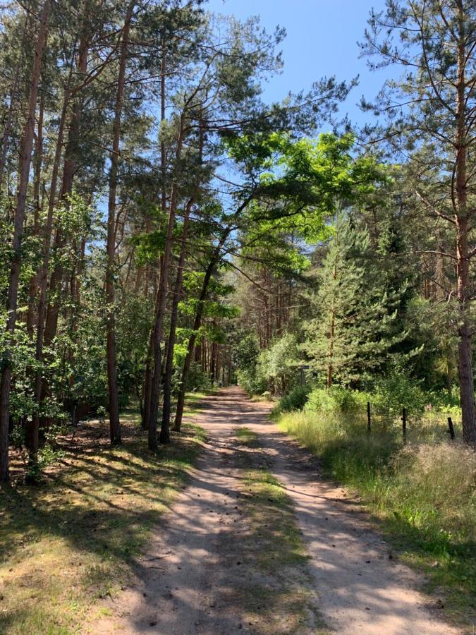 Ferienhaus Im Wald