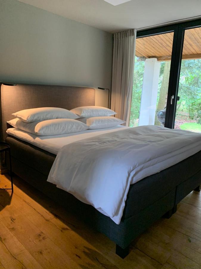 Im Wald Feriehus Borkwalde
