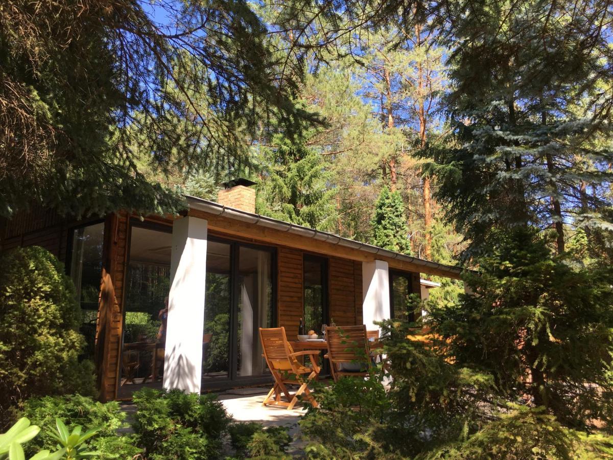 Im Wald Ferienhaus *